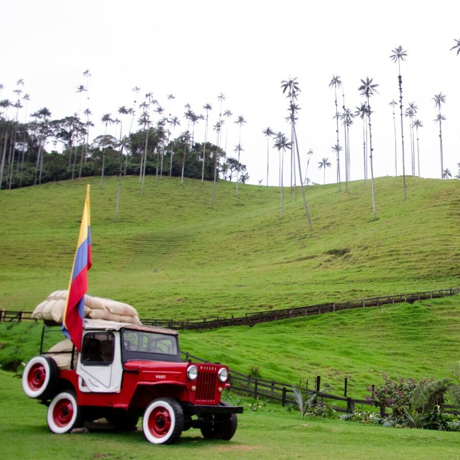 Valle del Cocora